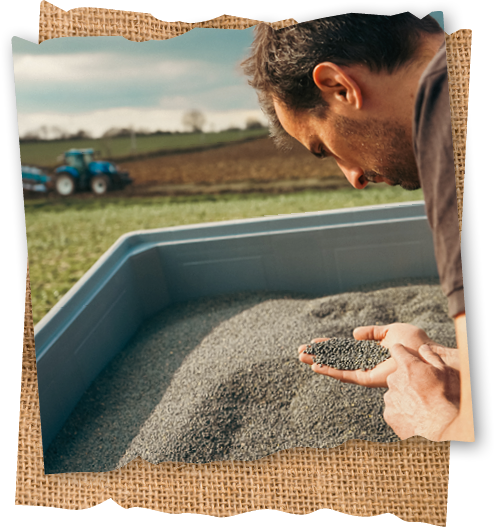 Agriculture locale_Grains des Loges