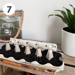 DIY-Semis-plants-potager_7