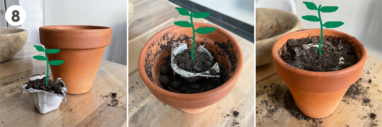 DIY-Semis-plants-potager_8