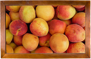 Recette Poêlée d'abricots pain d'épices (Fraich'attitude)