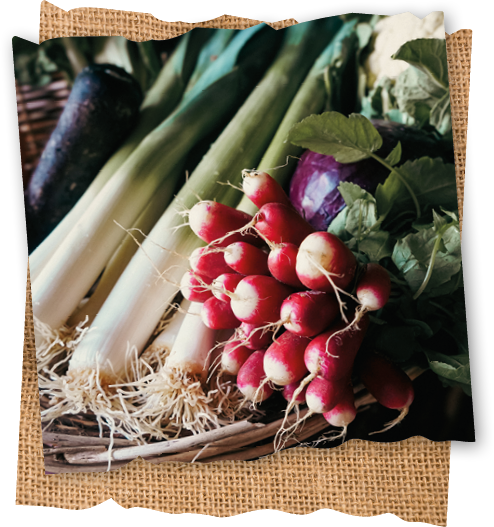 Matières premières_Panier légumes